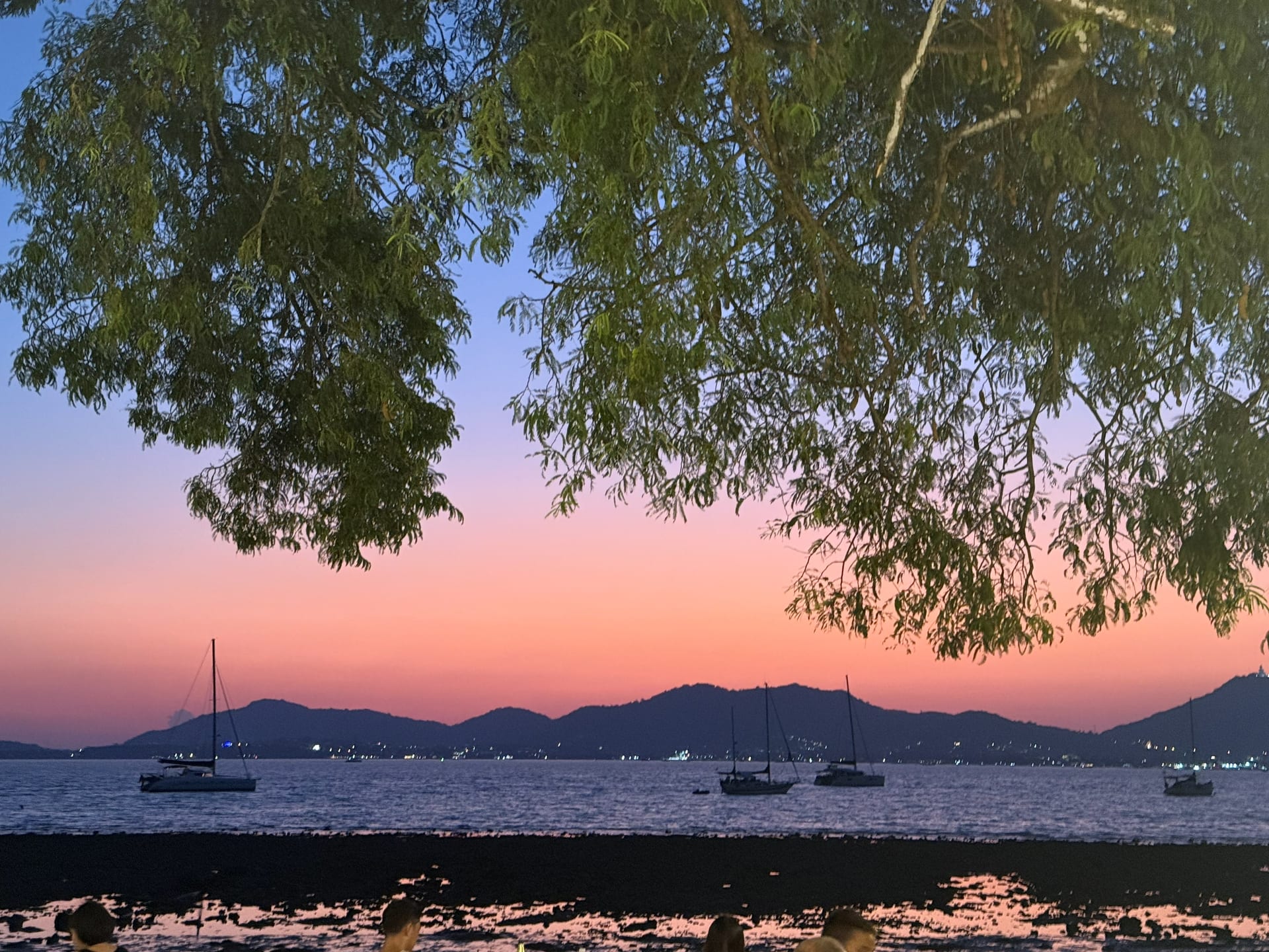 Twilight over Ao Yon Bay from At The Beach Restaurant & Bar — pink and lavender sky after sunset, four sailboats moored on calm water, mountains silhouetted on the horizon, tree branches framing both sides of the view, shoreline lights starting to twinkle