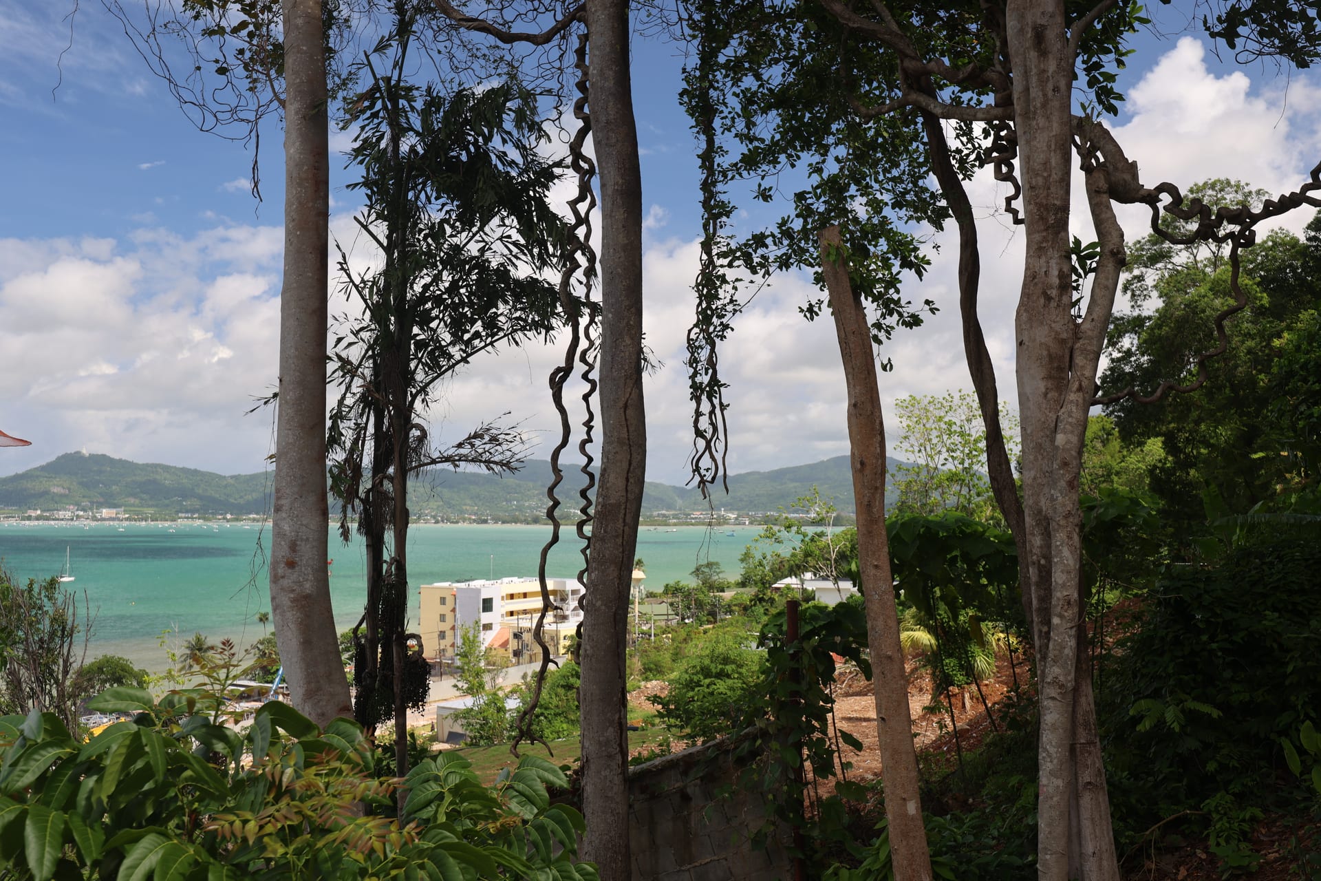 The bay framed by twisted hanging vines and tree trunks just off the terrace — tropical-jungle foreground gives way to turquoise water, white-roofed coastal village in the middle distance, palm-covered hills on the far side